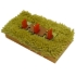 Picture of 2136 CARPET RISER BULK